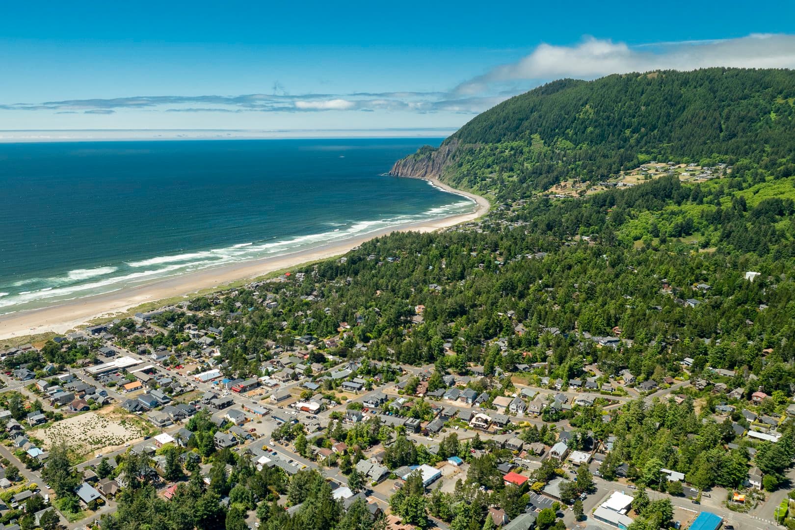 Manzanita